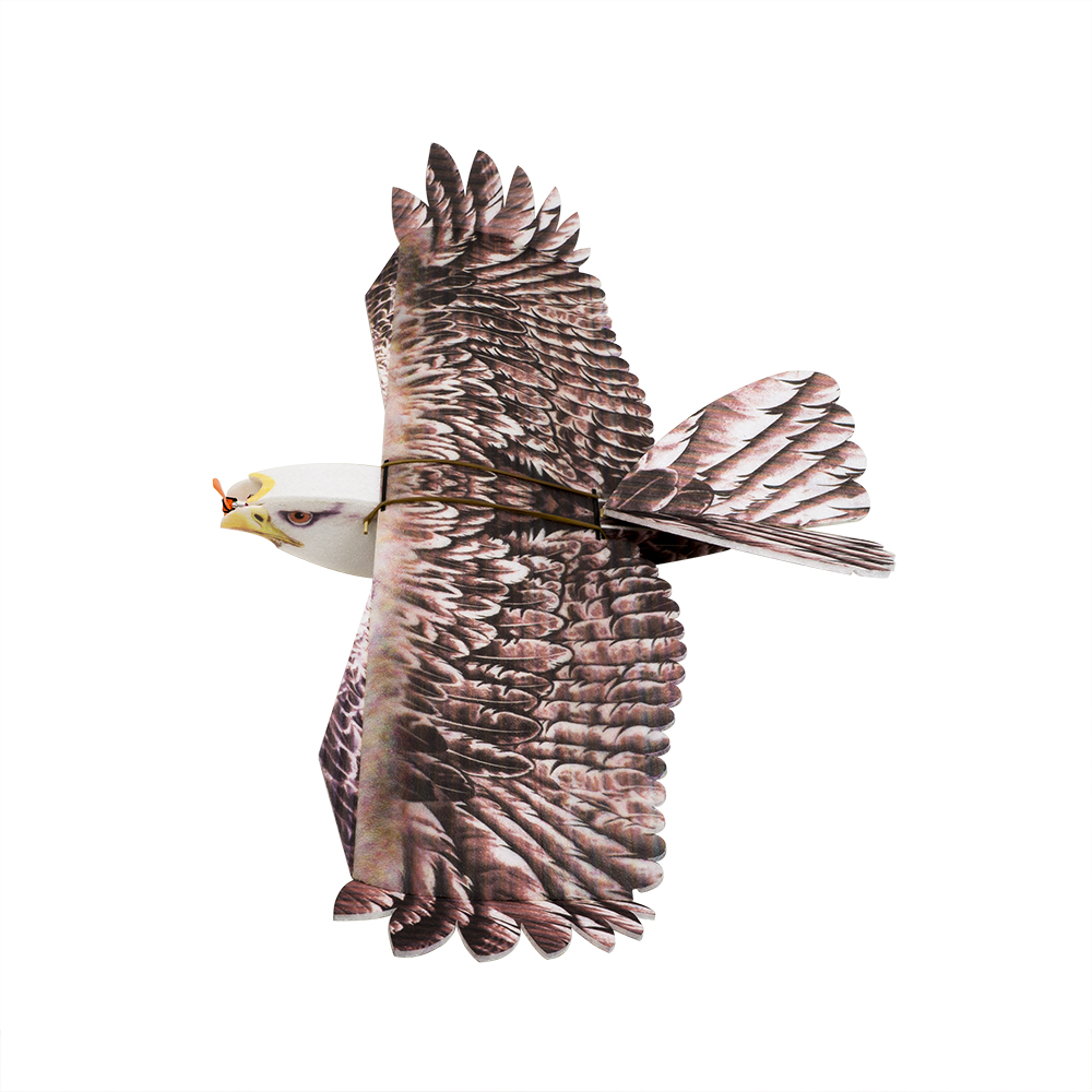 Rc Hobby Experts - DW Hobby Eagle II EPP Vliegtuig